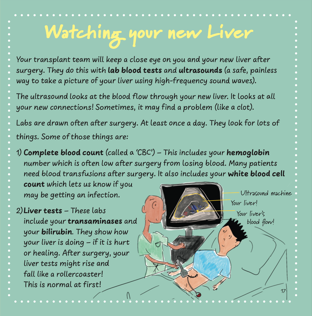 Liver Transplantation, Part Three: Time for Surgery!