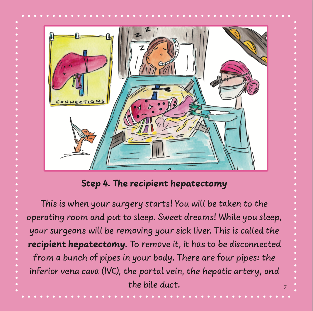 Liver Transplantation, Part Three: Time for Surgery!