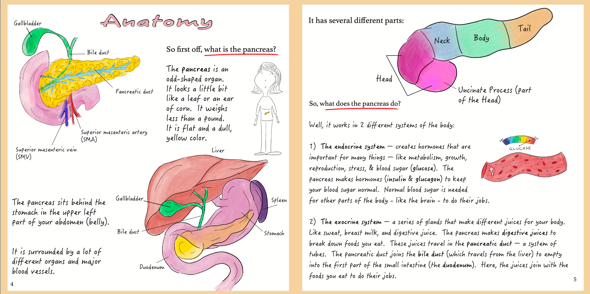 Pancreas Cancer: A patient-centered guide to diagnosis & treatment
