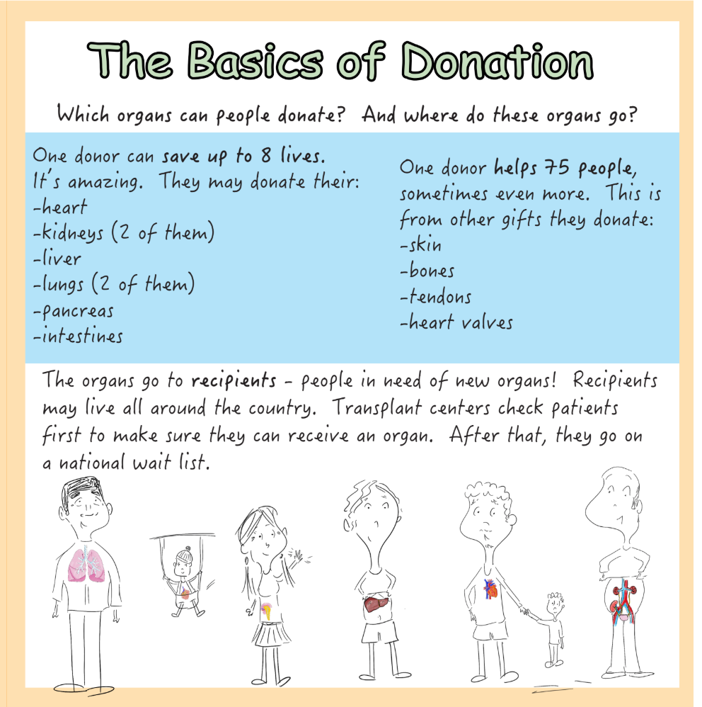 Organ Donation: A guide to the most generous gift