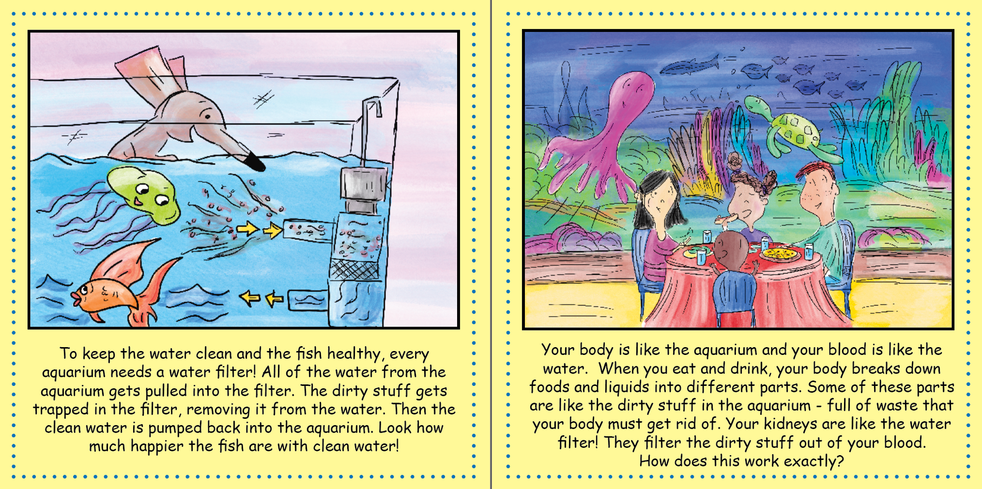 Kidney Transplant: Time for a New Filter!