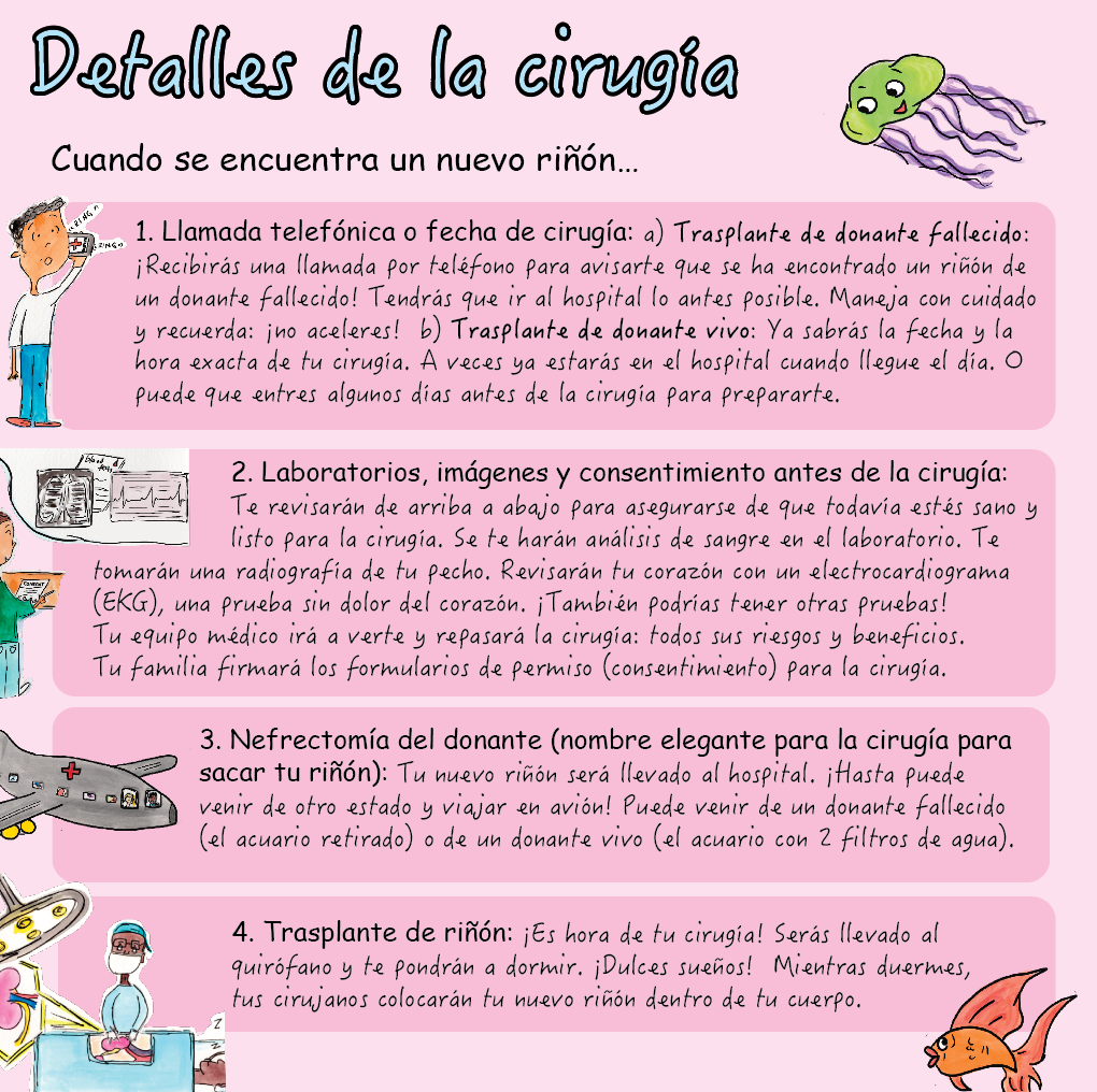 Trasplante de Riñón: ¡Hora de un Nuevo Filtro!