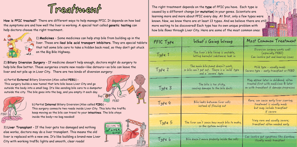 PFIC: My Liver&#39;s Traffic Jam