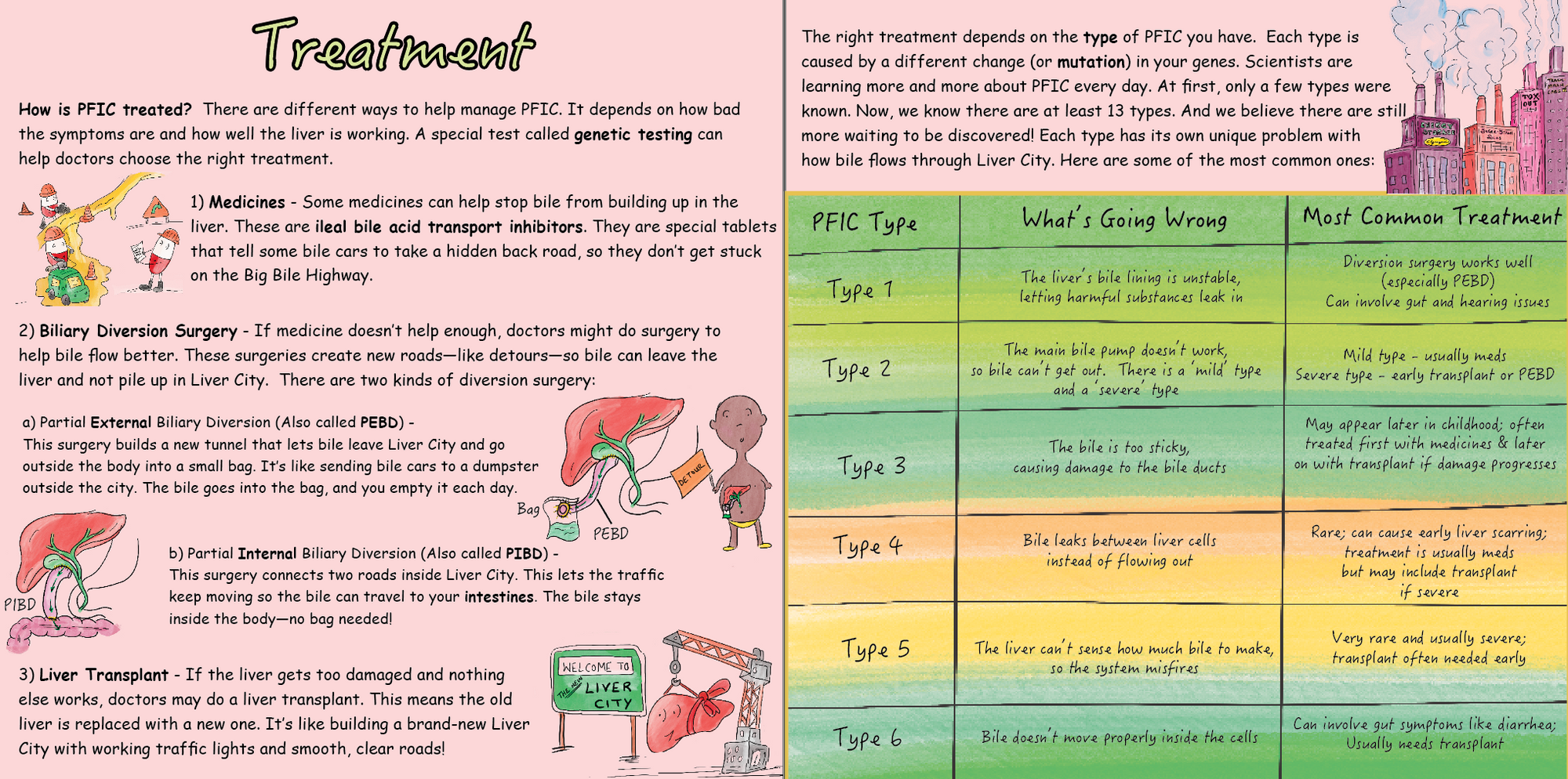 PFIC: My Liver's Traffic Jam