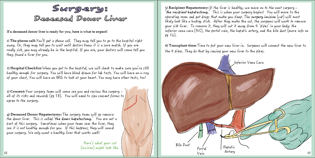 So you need a Liver Transplant...A guide to all the ins & outs of getting a new liver